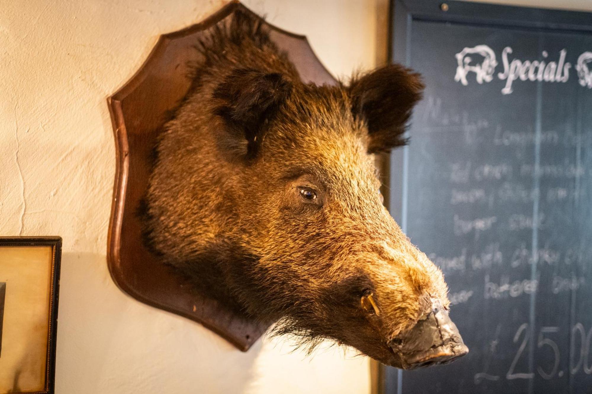 Отель Wild Boar Estate Боунес-он-Уиндермер Экстерьер фото